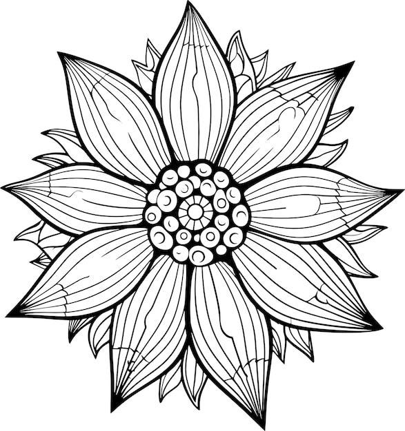 Photo boho flower coloring page