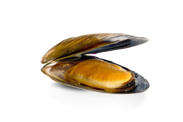 Boiled mussel isolated on a white background. seafood deliciousness