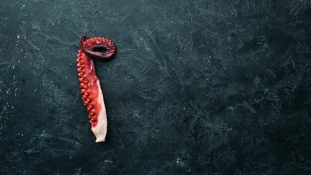 Boiled octopus tentacles on a stone plate Seafood Top view Free copy space