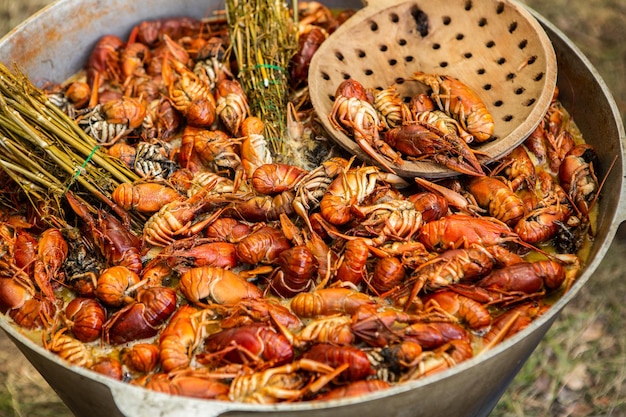 Boiled red crayfish or crawfish with herbs