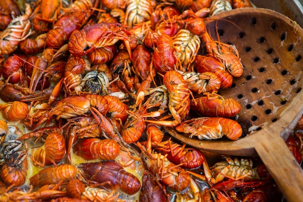 Boiled red crayfish or crawfish with herbs