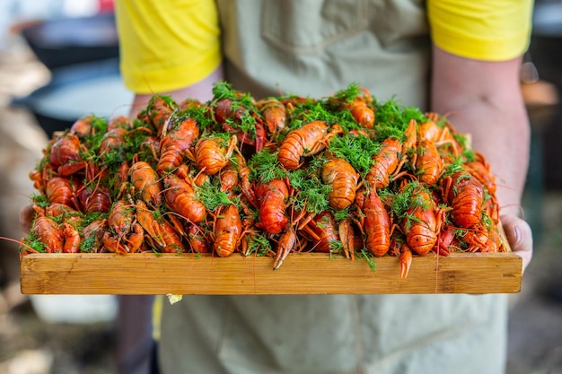 Boiled red crayfish or crawfish with herbs