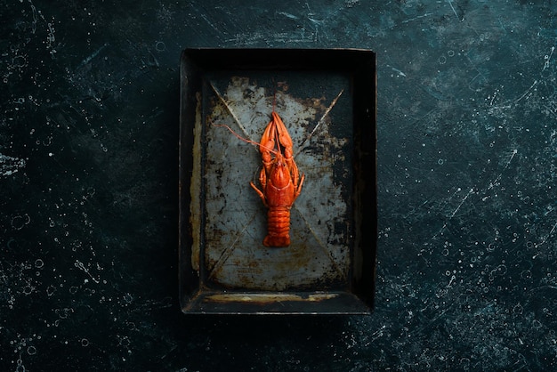 Boiled red crayfish with spices and herbs in a metal bowl Top view Flat lay