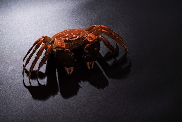 Boiled Shanghai hairy crab or Chinese mitten crab (Eriocheir sinensis) with Chili and herb on black background