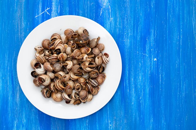 Boiled snails on white plate on blue wooden