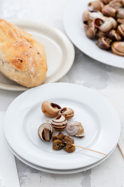 Boiled snails on white plate on ceramic