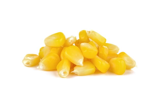 Boiled sweet corn on white background