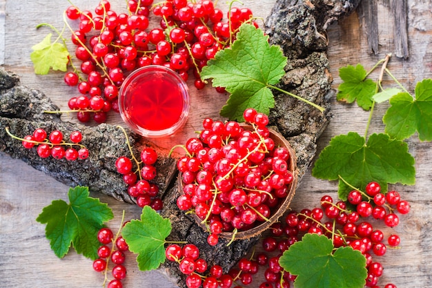 Boiling red currant drink in a glass and berries in a bowl on a tree bark. Top view