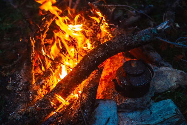 Boiling of tea in kettle on bonfire with large firewood. 