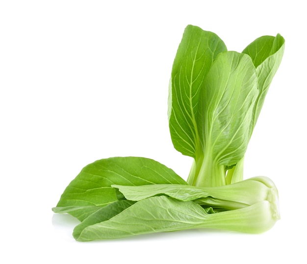 Bok choy (chinese cabbage) isolated on white background