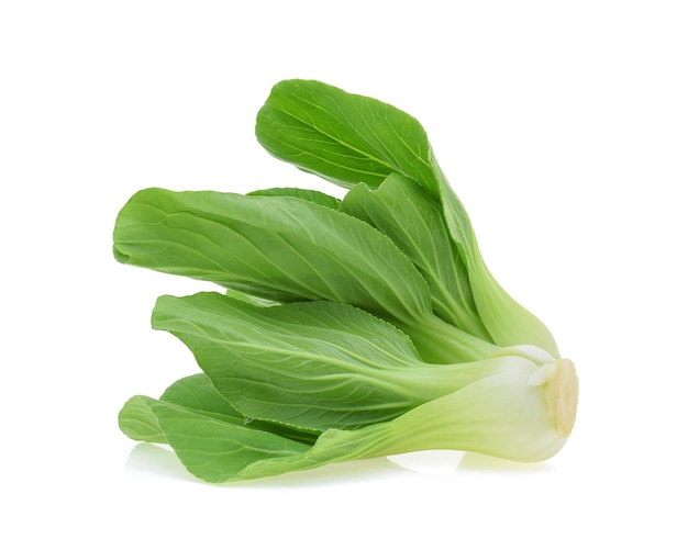 Bok choy chinese cabbage isolated on white background