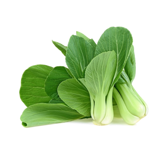 Bok choy (chinese cabbage) isolated on white