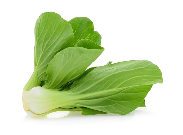 Bok choy (chinese cabbage) isolated