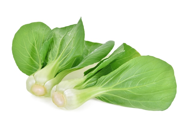 Bok choy (chinese cabbage) isolated