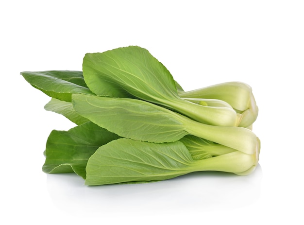 Bok choy (chinese cabbage) 