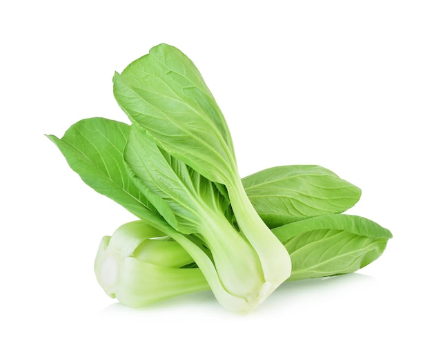 Bok choy vegetable isolated on the white background.