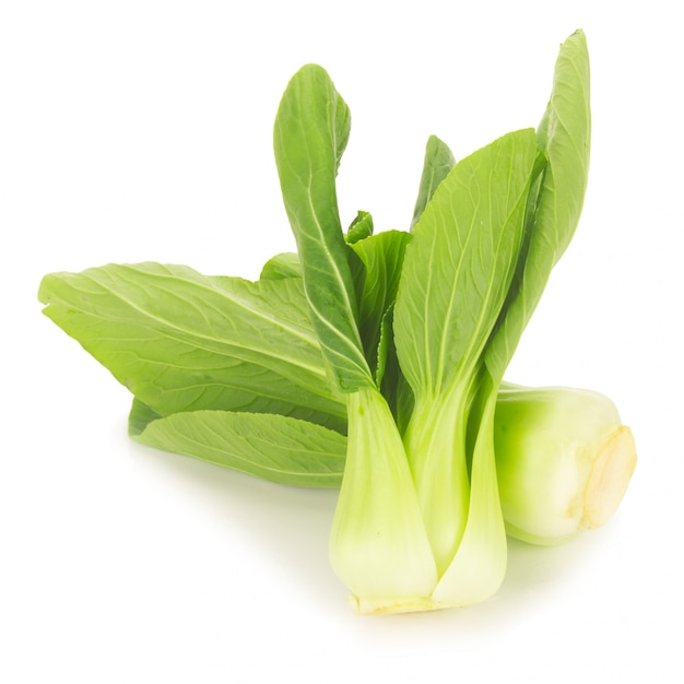 Bok choy vegetable isolated on the white background