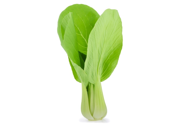 Bok choy vegetable isolated on the white.