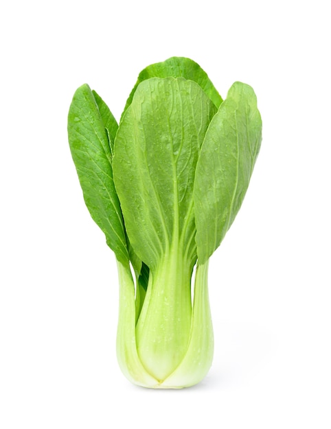 Bok Choy with water drops isolated on white