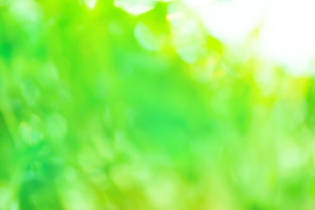 Bokeh green lights on texture Blurred motion out of focus green background