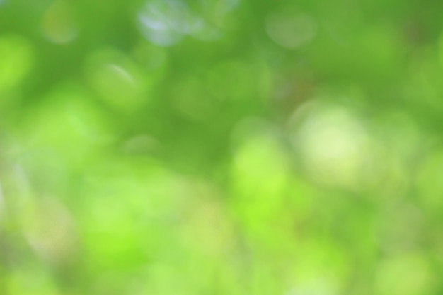 Bokeh green nature Subtle background in abstract style for graphic design