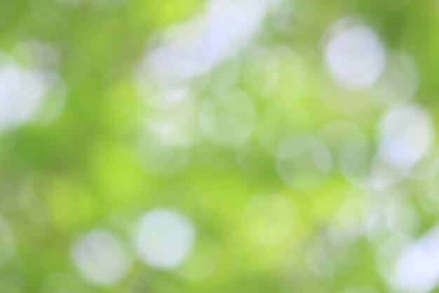 Bokeh green nature Subtle background in abstract style for graphic design