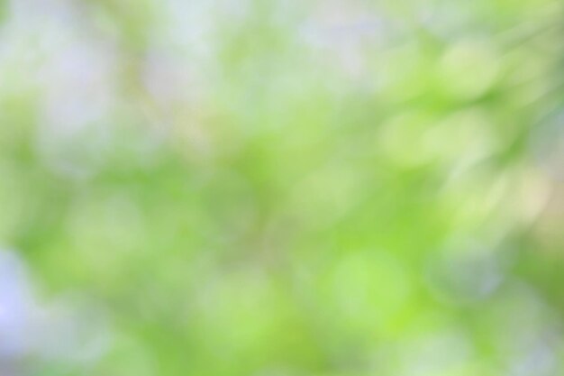 Bokeh green nature Subtle background in abstract style for graphic design