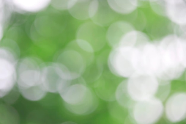 Bokeh green nature Subtle background in abstract style for graphic design