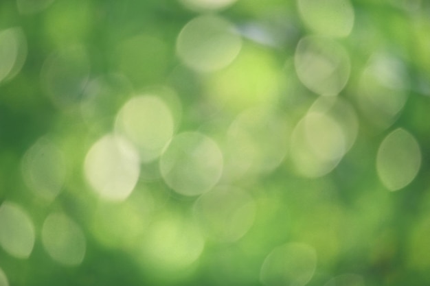 Bokeh green nature Subtle background in abstract style for graphic design