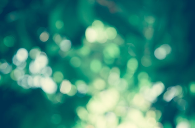 Bokeh of green trees.