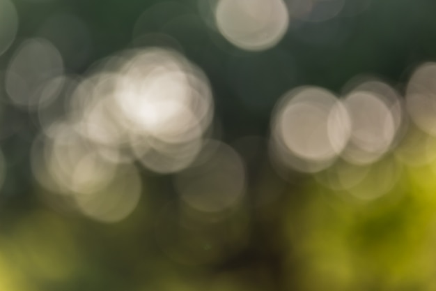 Bokeh natural green background