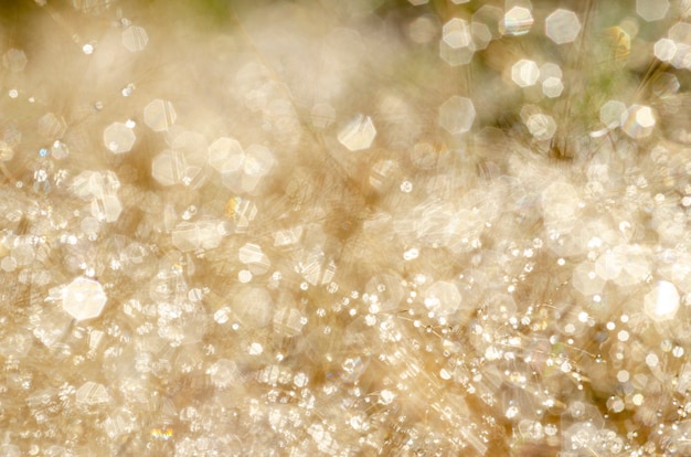 Bokeh pattern and water droplets on the blurred grass