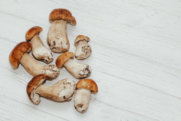 Boletus edulis on a table made of white boards preparation for eating