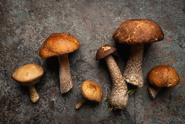 Boletus mushrooms over dark stone background top view autumn background