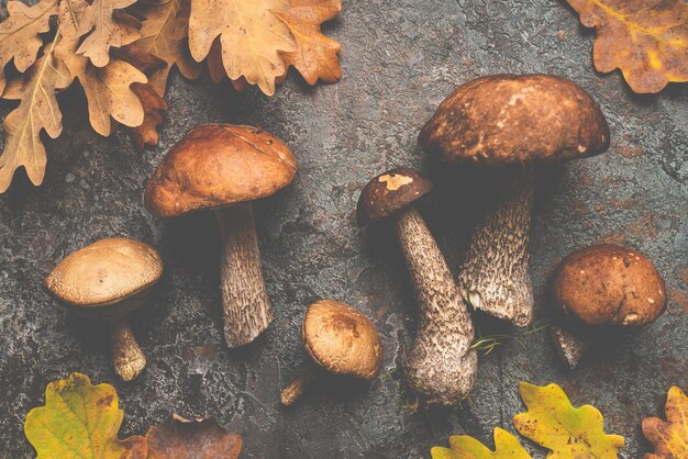 Photo boletus mushrooms with leaves