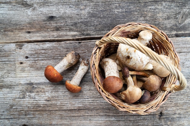 Boletus mushrooms on wooden background