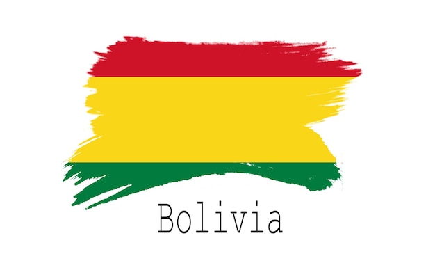 Bolivia flag on white background