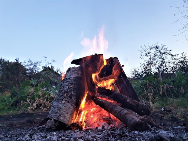 Bonfire burning. Coals in the fire. Burning.