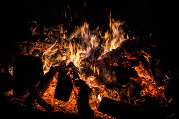 Bonfire closeup.