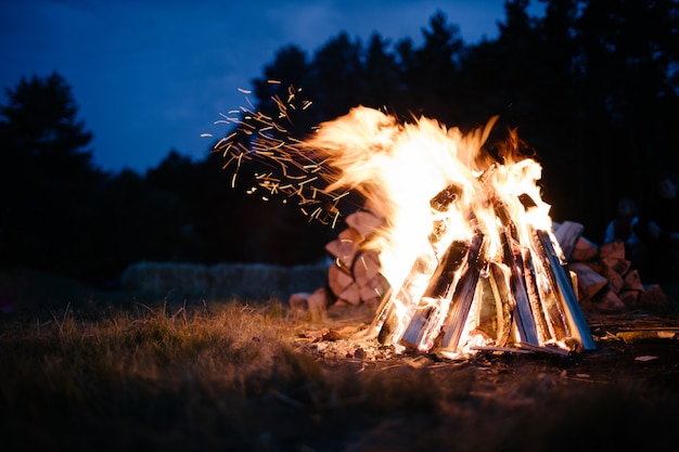 Bonfire in the forest at dusk