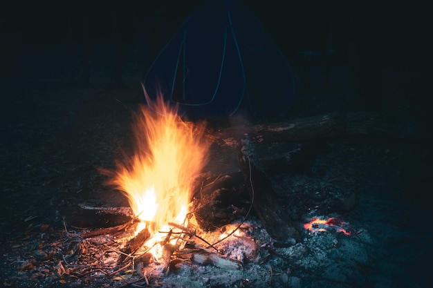 Bonfire in the forest at night