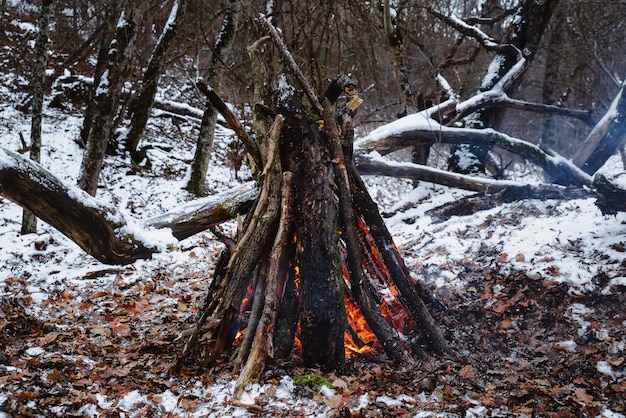 Bonfire in the forest in winter