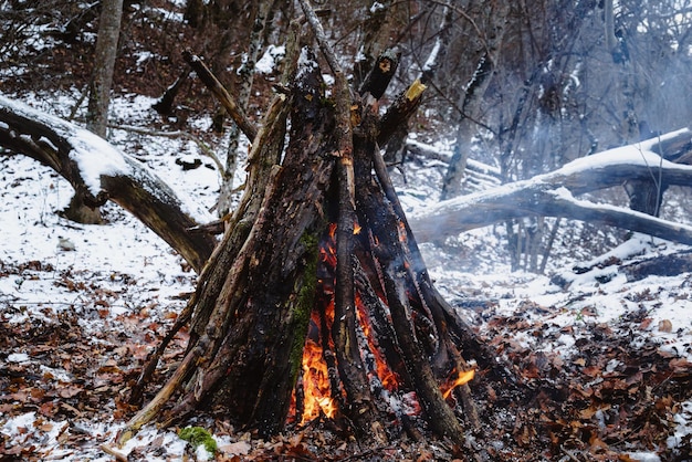 Bonfire in the forest in winter