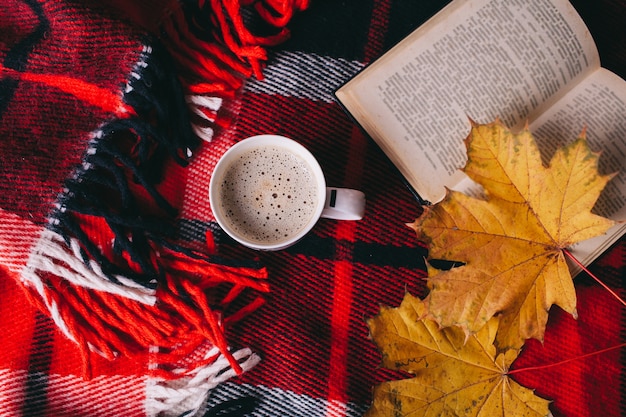 book and autumn leaves on red plaid