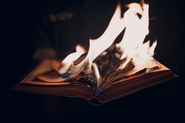 Book burning in flames