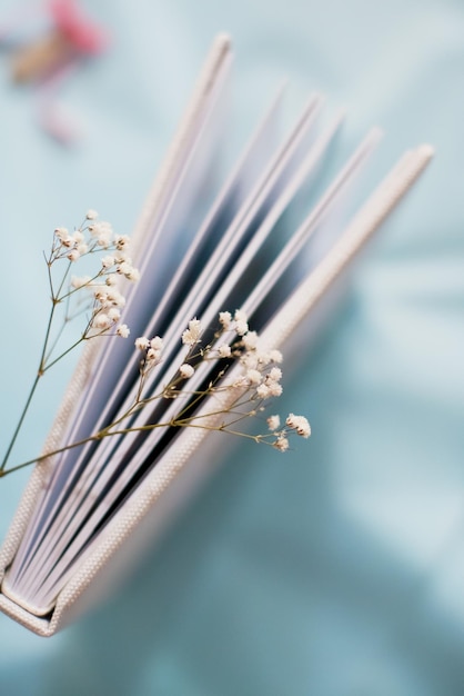 Book and gypsophila on blue background