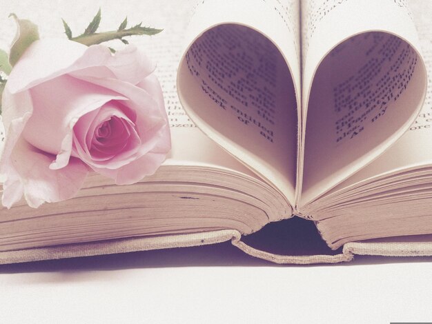 Photo a book opened to a page with a rose on it