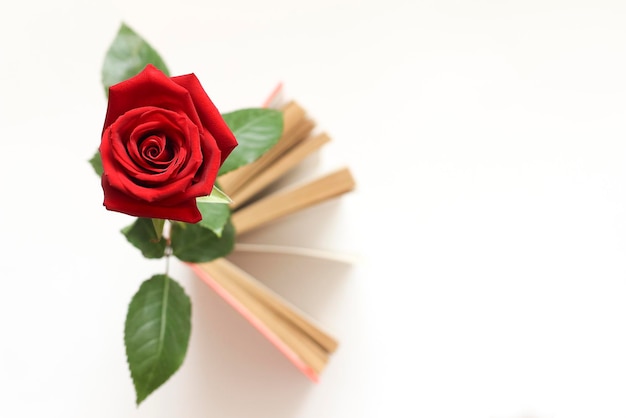 A book and a red rose with a selective focus, a background with a place for text.