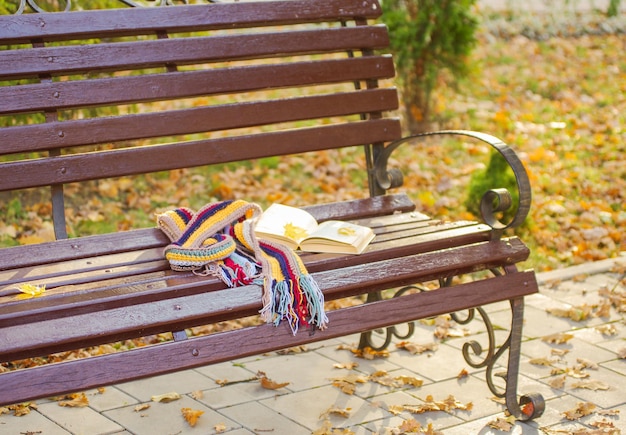 Book and scarf on wooden bench in autumn park