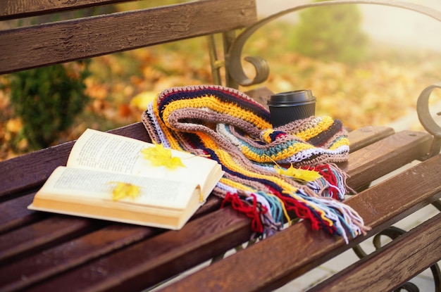 Book and scarf on wooden bench in autumn park